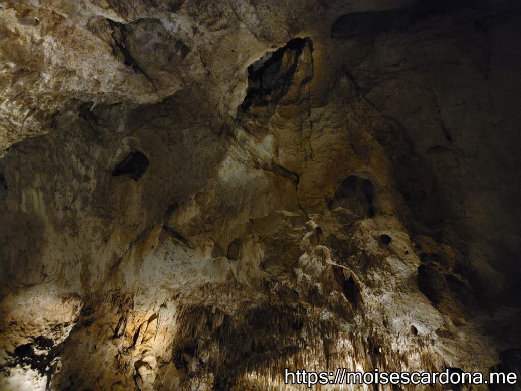 Carlsbad Caverns, New Mexico - 2022-10 231