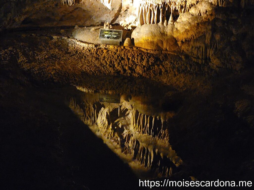 Carlsbad Caverns, New Mexico - 2022-10 246