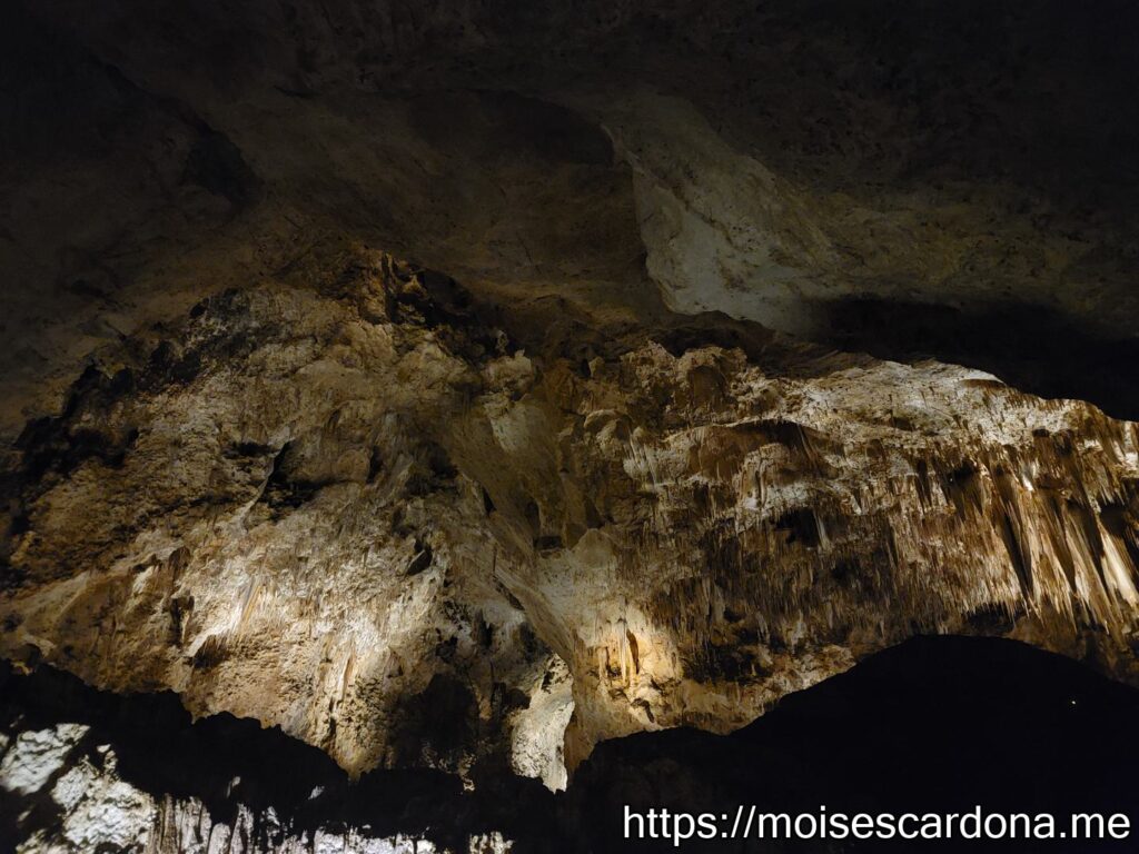 Carlsbad Caverns, New Mexico - 2022-10 276