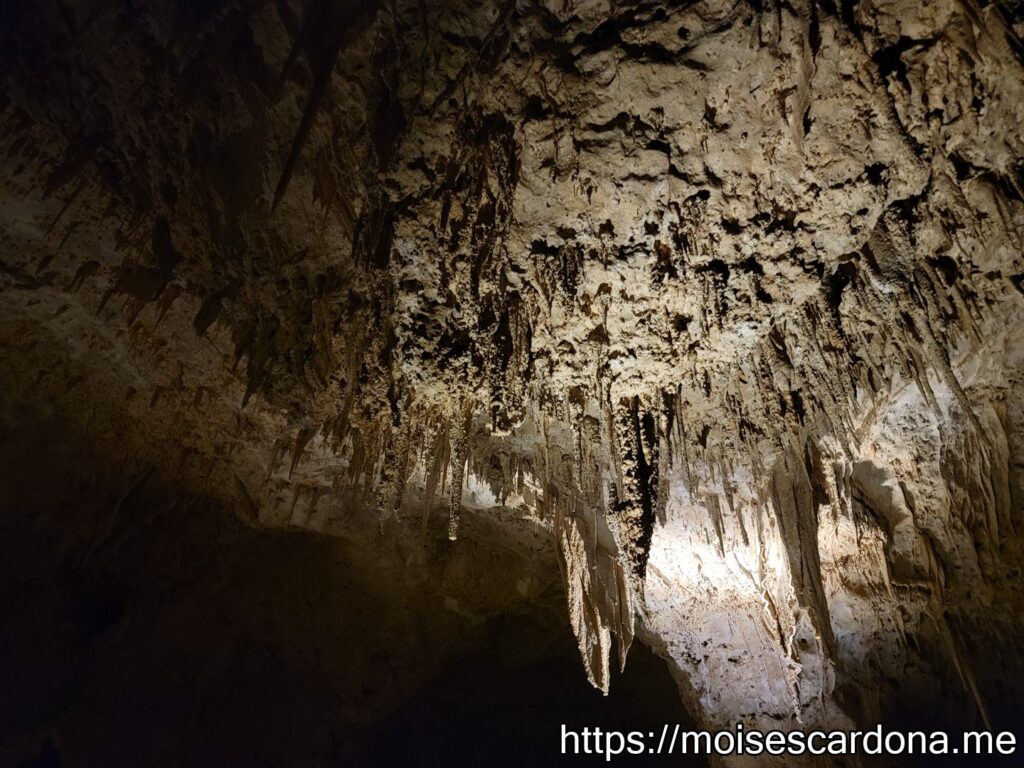 Carlsbad Caverns, New Mexico - 2022-10 281