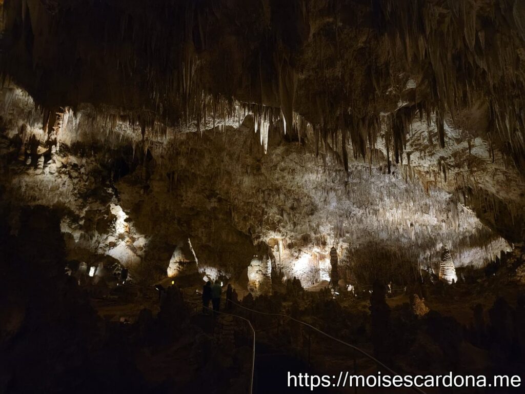 Carlsbad Caverns, New Mexico - 2022-10 284