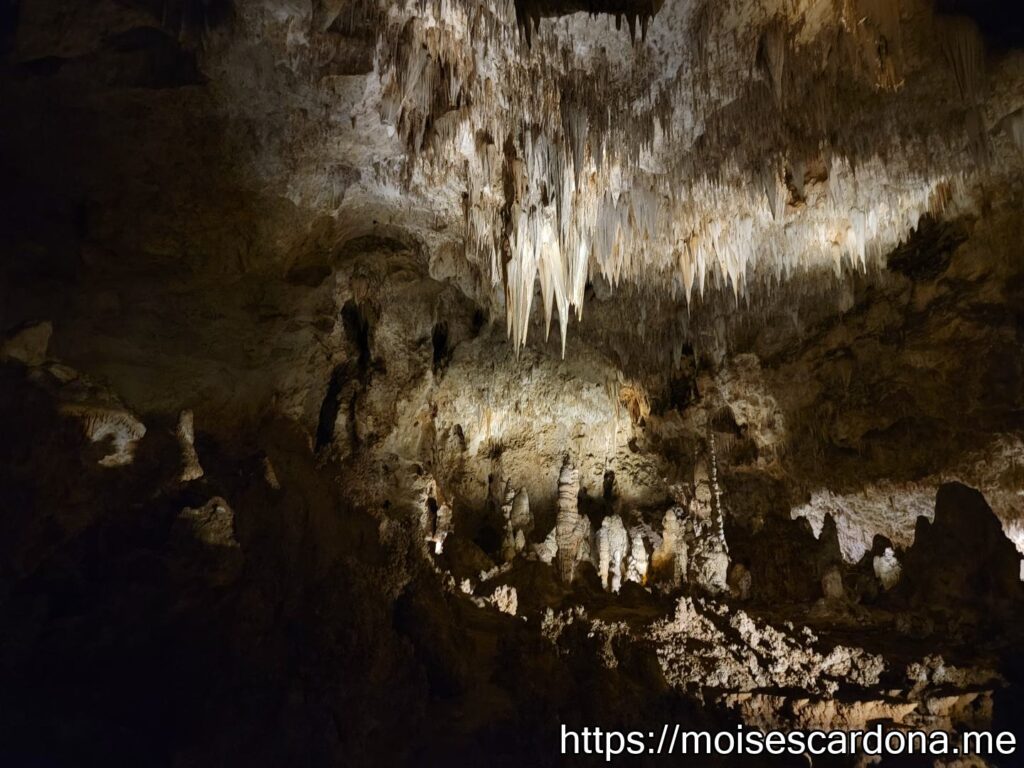 Carlsbad Caverns, New Mexico - 2022-10 285