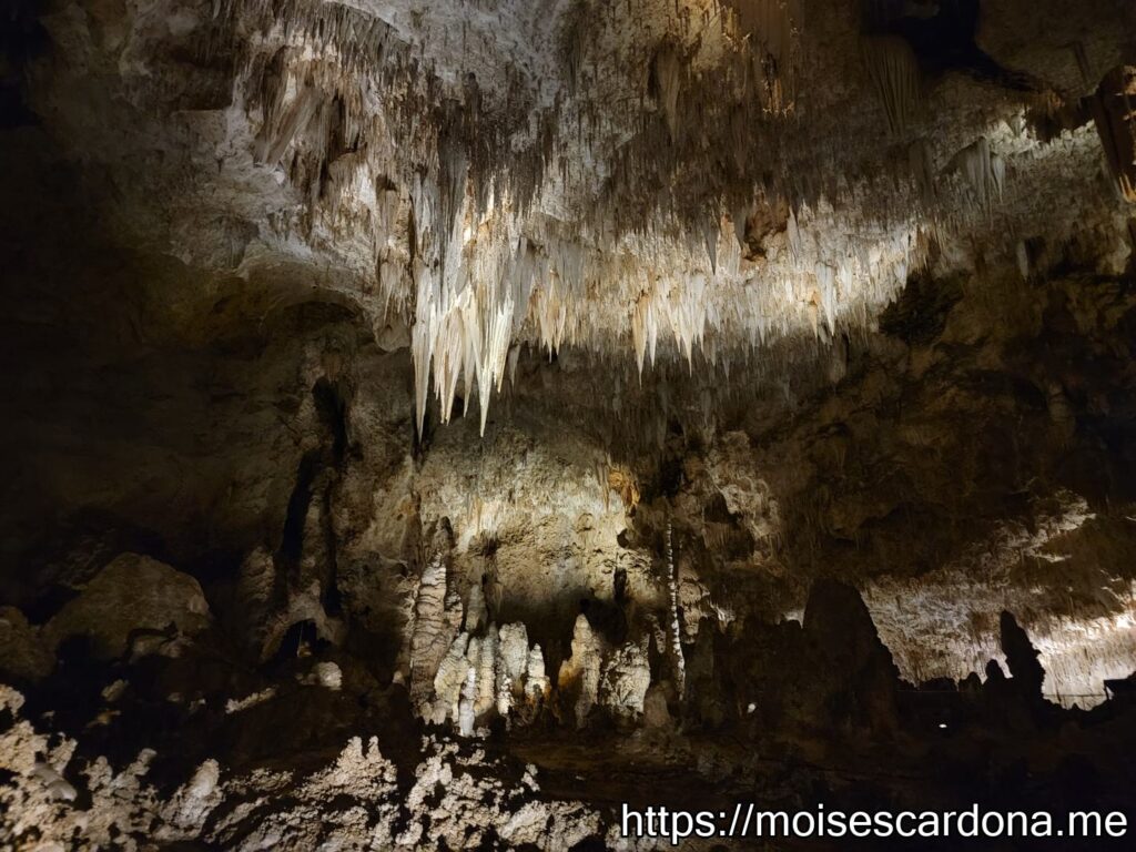 Carlsbad Caverns, New Mexico - 2022-10 287