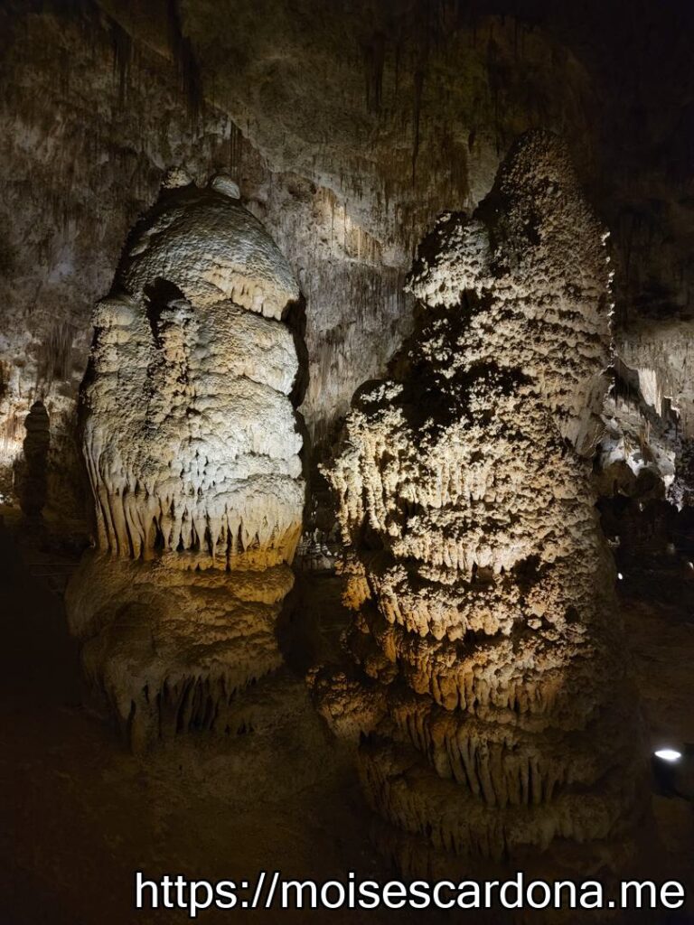 Carlsbad Caverns, New Mexico - 2022-10 291