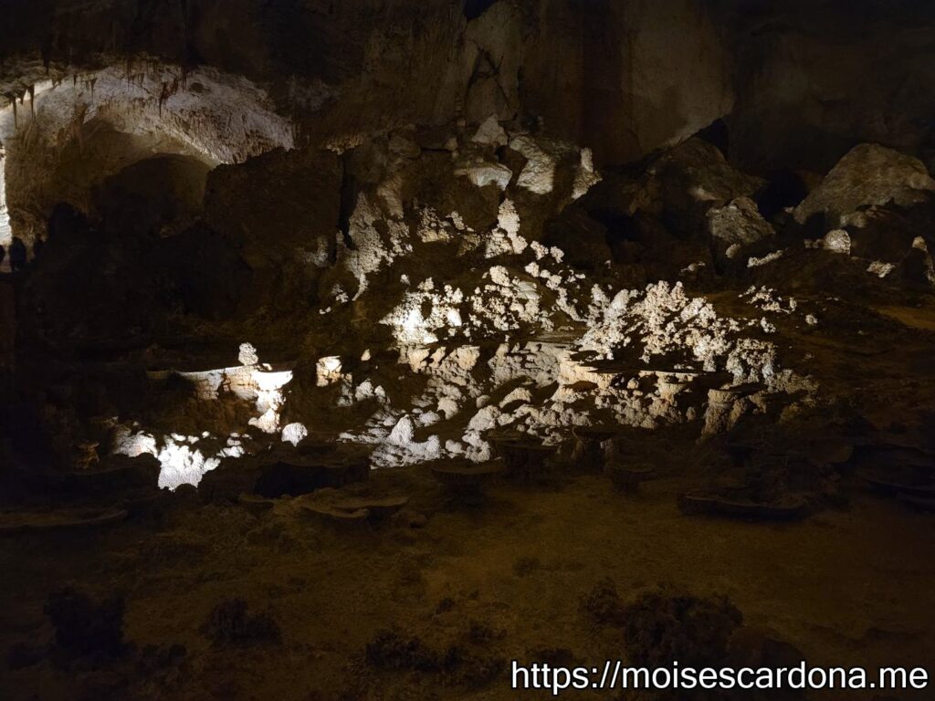 Carlsbad Caverns, New Mexico - 2022-10 294