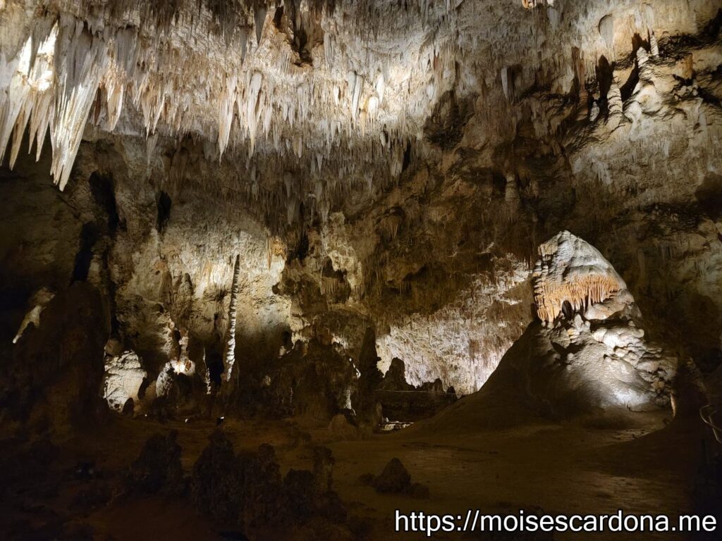 Carlsbad Caverns, New Mexico - 2022-10 296