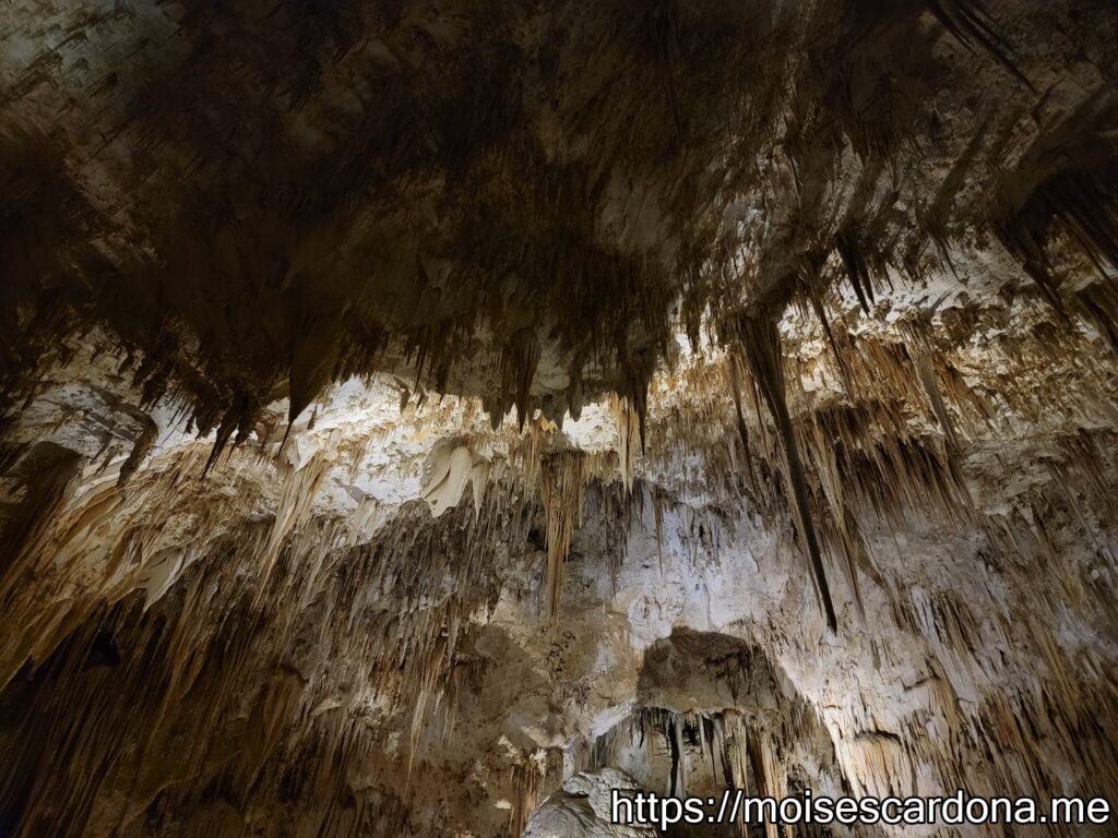 Carlsbad Caverns, New Mexico - 2022-10 308