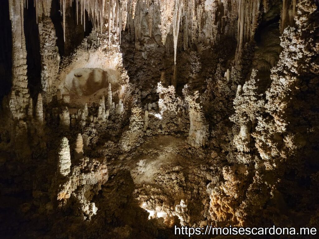 Carlsbad Caverns, New Mexico - 2022-10 314