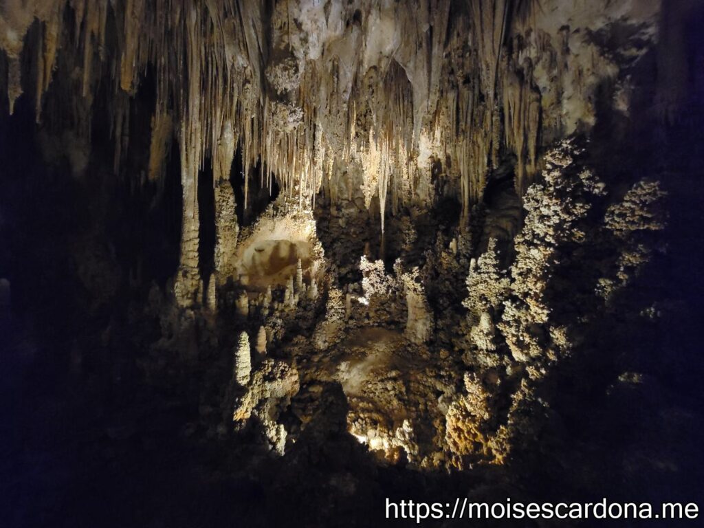 Carlsbad Caverns, New Mexico - 2022-10 315