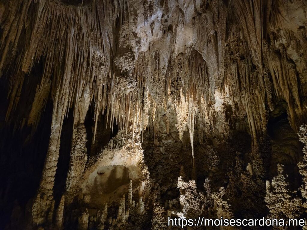 Carlsbad Caverns, New Mexico - 2022-10 317