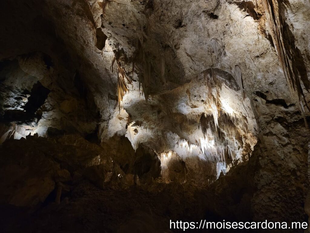 Carlsbad Caverns, New Mexico - 2022-10 327