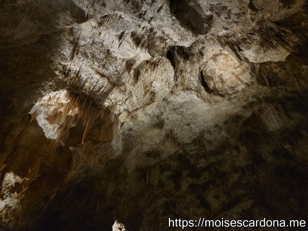 Carlsbad Caverns, New Mexico - 2022-10 330