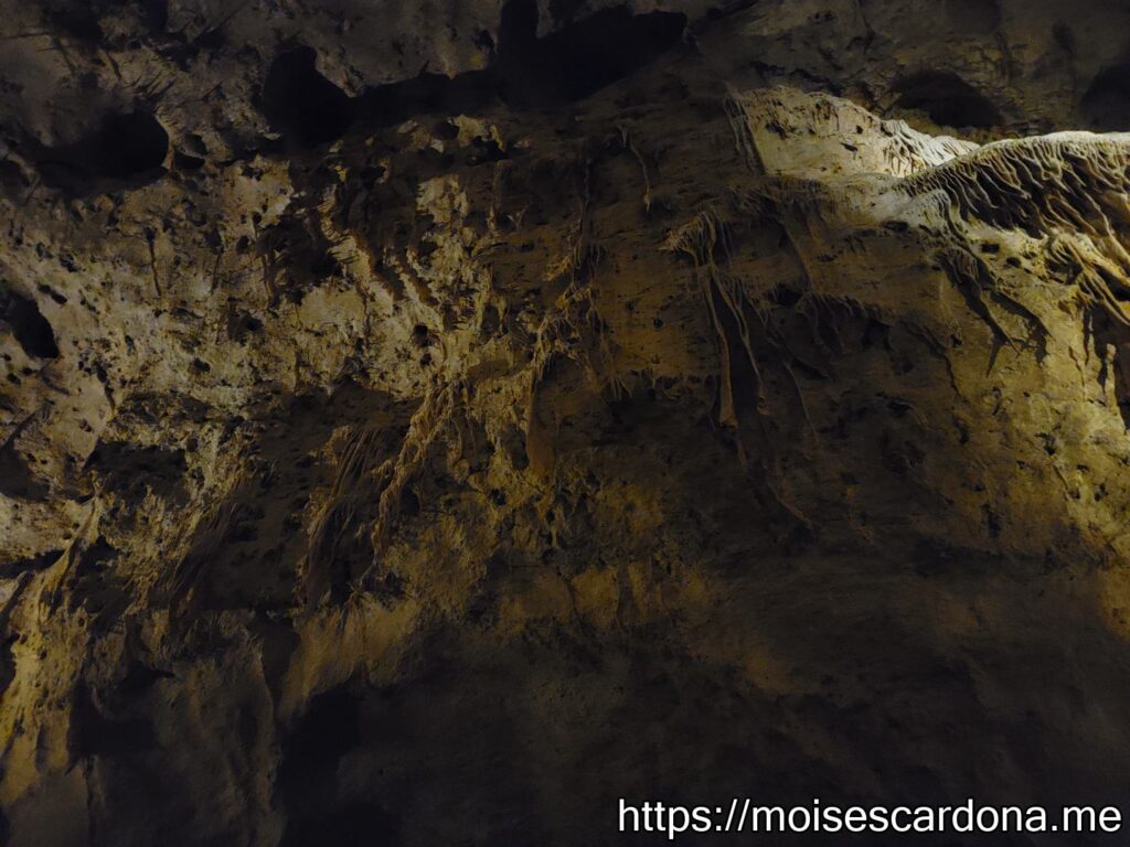 Carlsbad Caverns, New Mexico - 2022-10 353