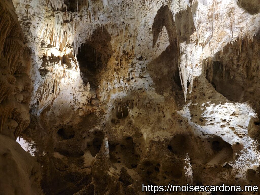 Carlsbad Caverns, New Mexico - 2022-10 361