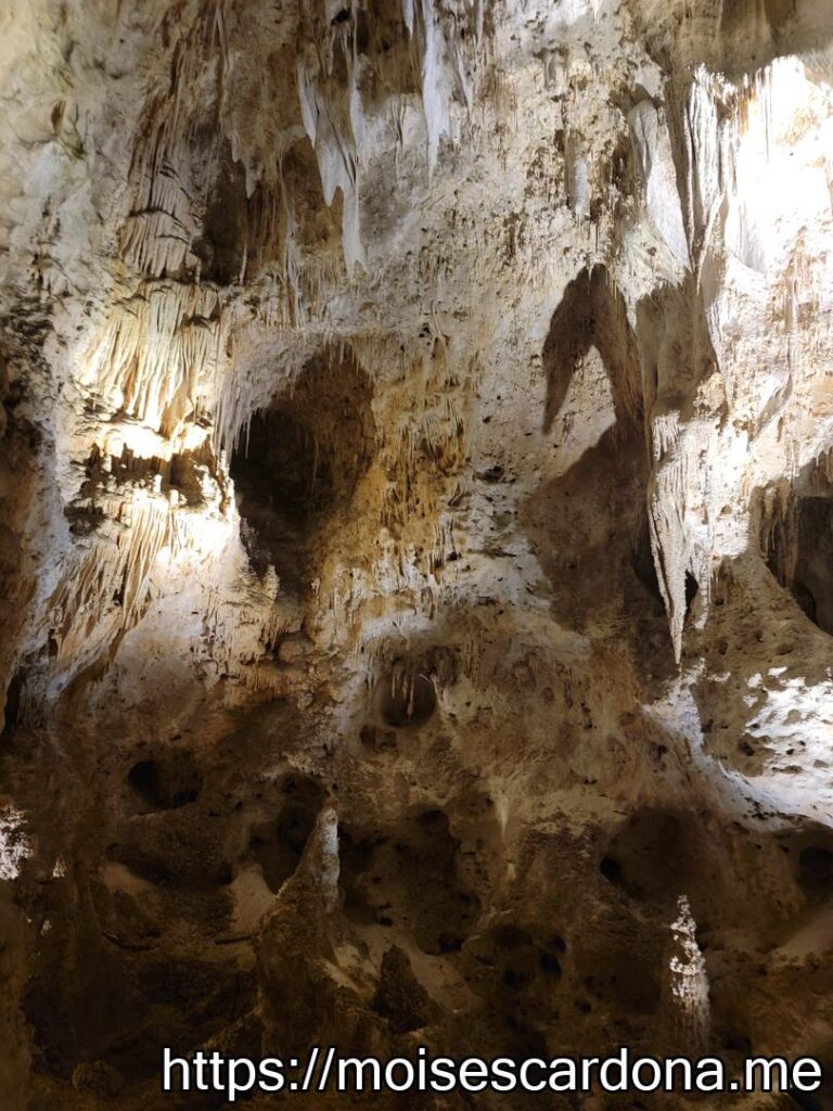 Carlsbad Caverns, New Mexico - 2022-10 362