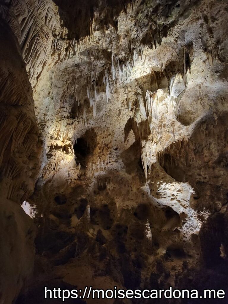 Carlsbad Caverns, New Mexico - 2022-10 364