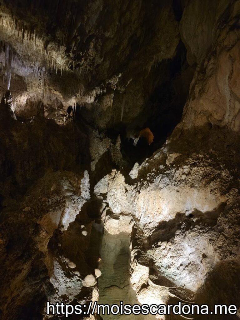 Carlsbad Caverns, New Mexico - 2022-10 368