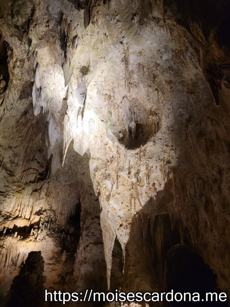 Carlsbad Caverns, New Mexico - 2022-10 376