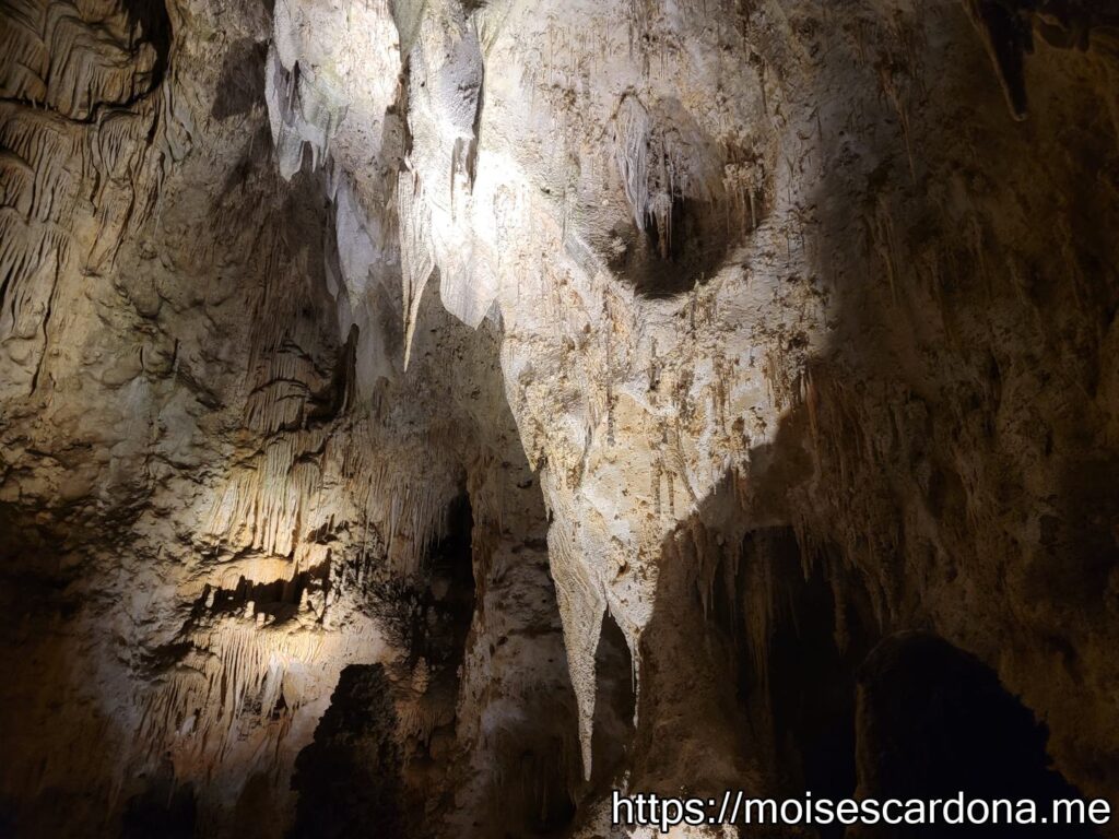 Carlsbad Caverns, New Mexico - 2022-10 377