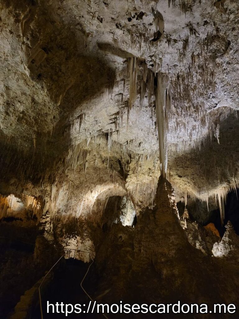 Carlsbad Caverns, New Mexico - 2022-10 380
