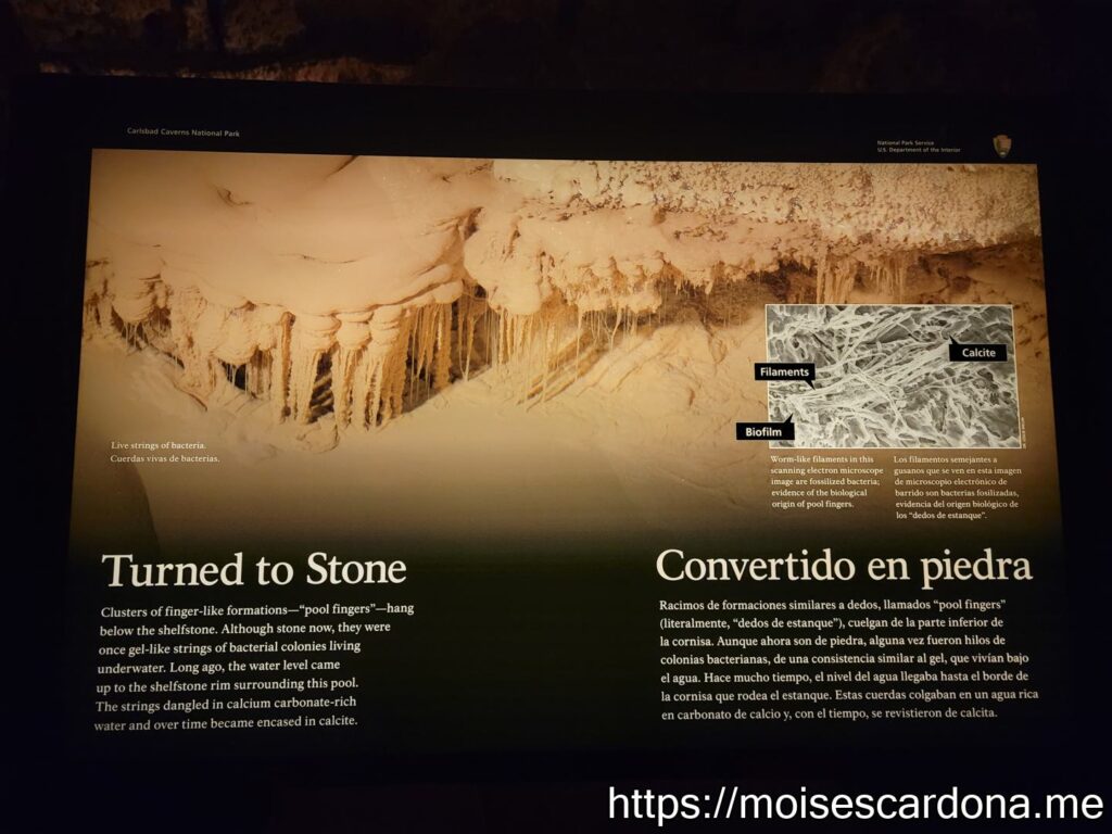 Carlsbad Caverns, New Mexico - 2022-10 389