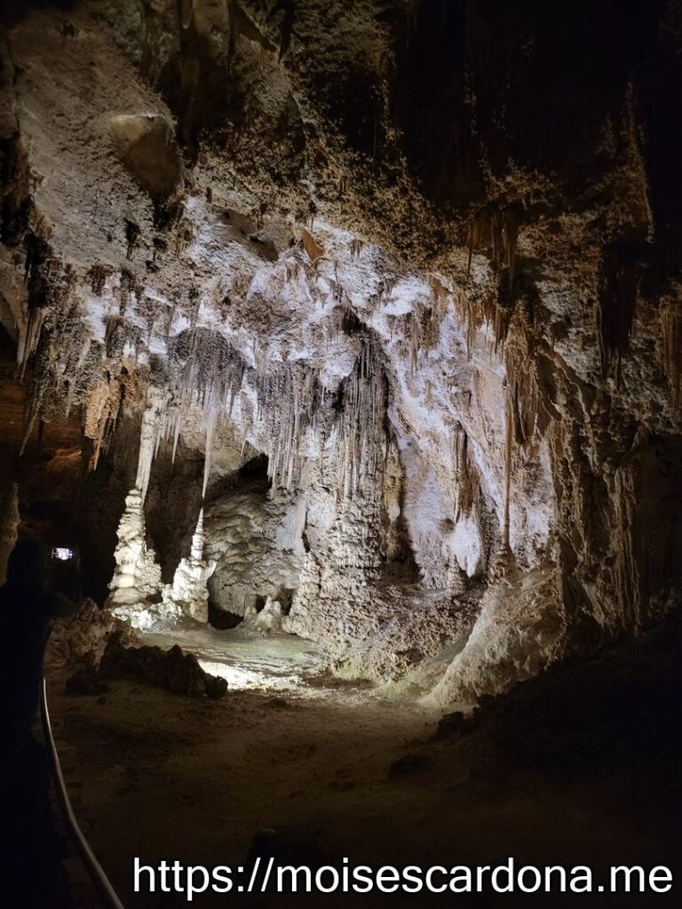 Carlsbad Caverns, New Mexico - 2022-10 433