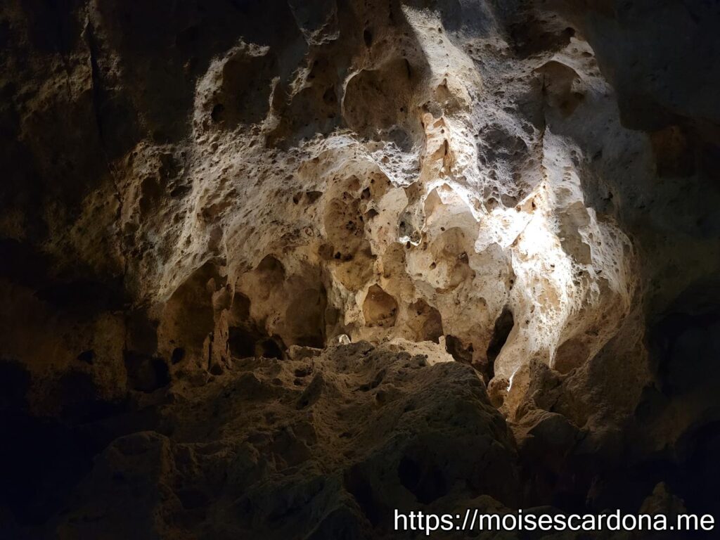 Carlsbad Caverns, New Mexico - 2022-10 469