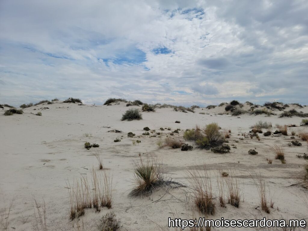 White Sands National Park, New Mexico - 2022-10 053