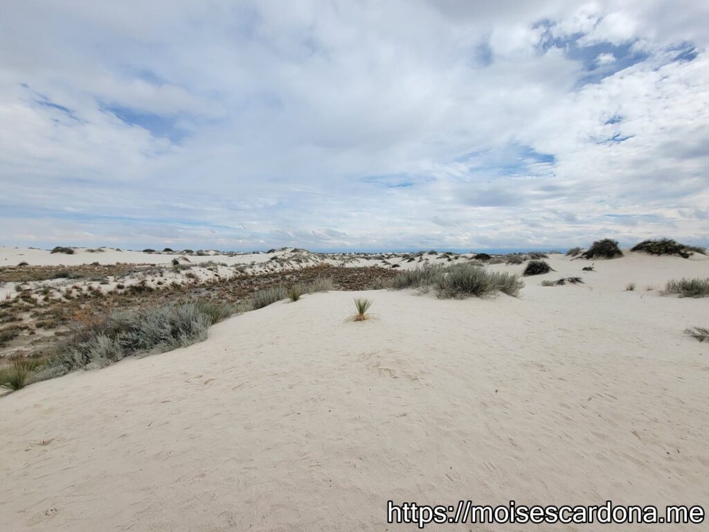 White Sands National Park, New Mexico - 2022-10 058
