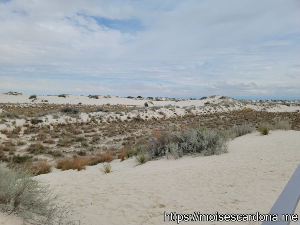 White Sands National Park, New Mexico - 2022-10 065