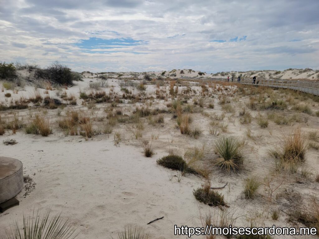 White Sands National Park, New Mexico - 2022-10 067