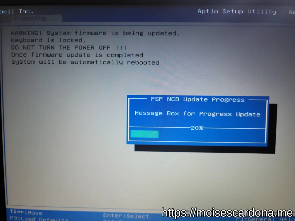 Dell Inspiron 15 3565 BIOS Update - BIOS Update in Progress 1