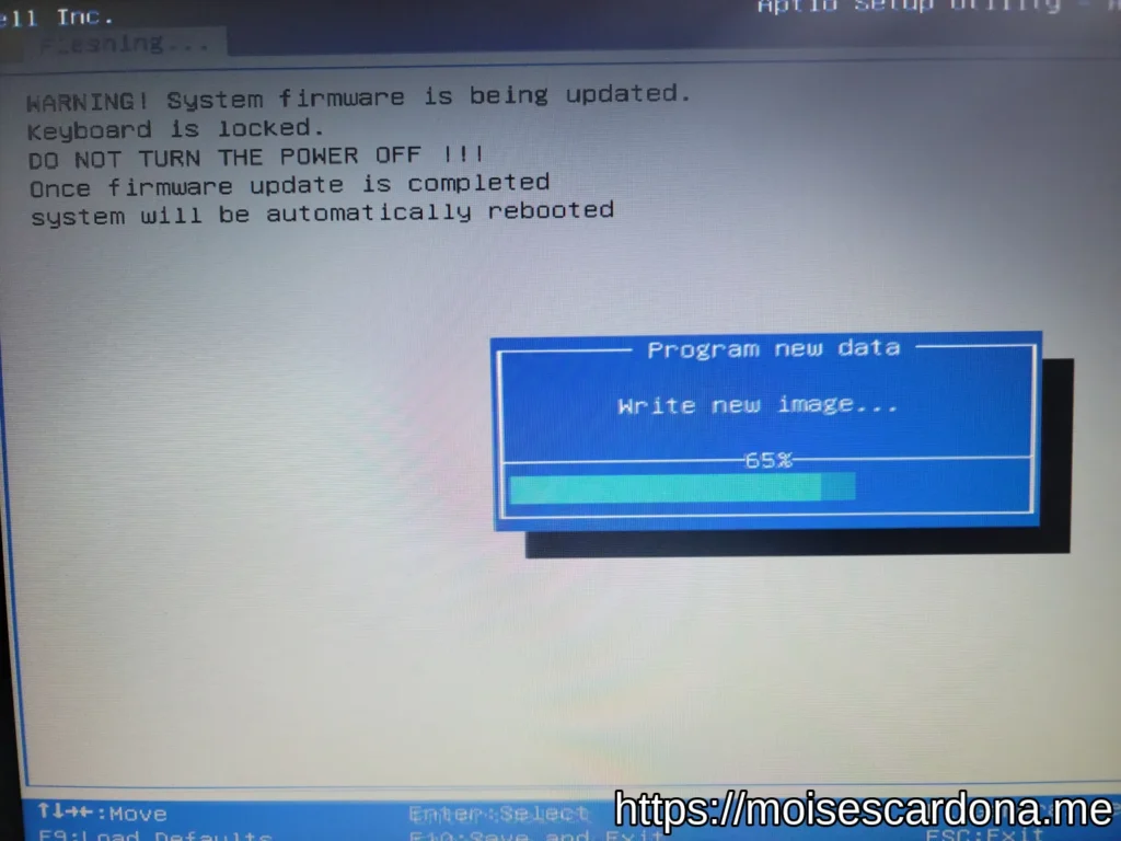 Dell Inspiron 15 3565 BIOS Update - BIOS Update in Progress 7