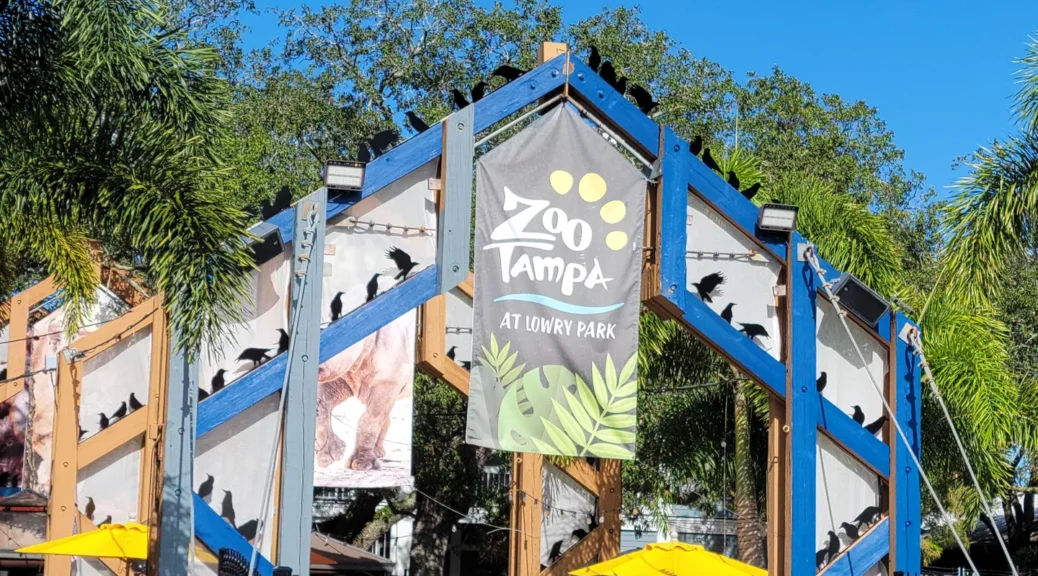 ZooTampa 2021 001