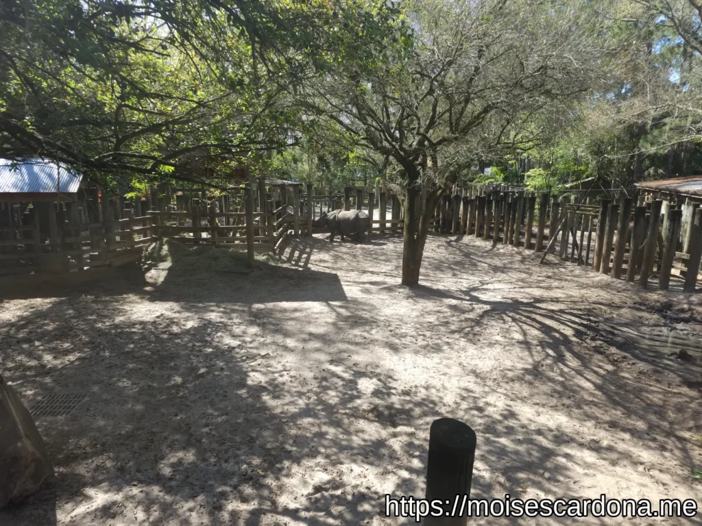 ZooTampa 2023-02 008