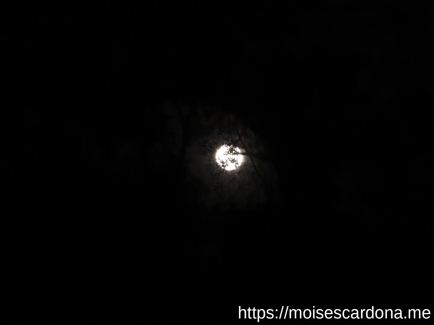 Moon - 2023-03-07 1