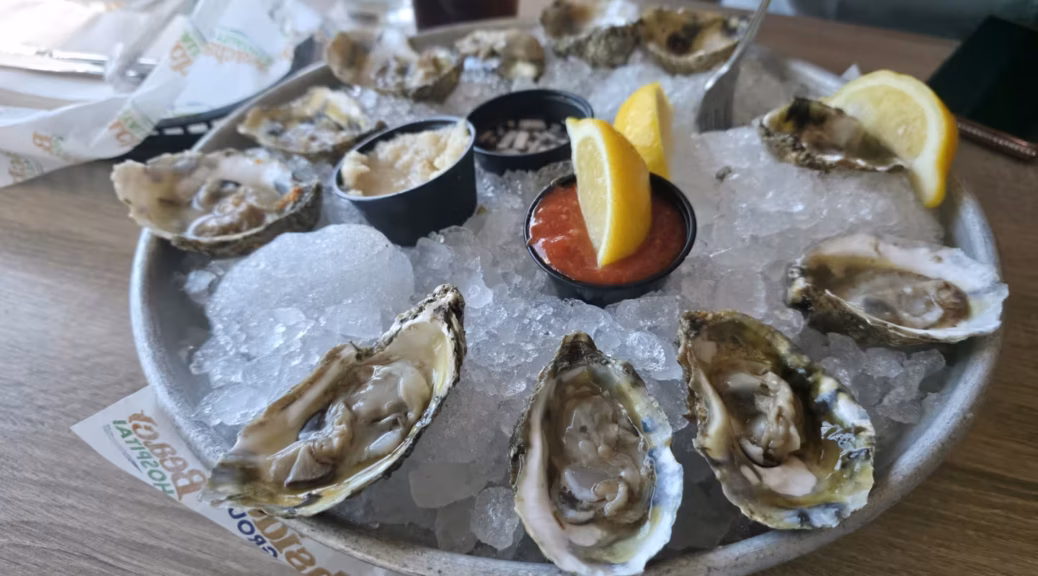Oyster of the Day