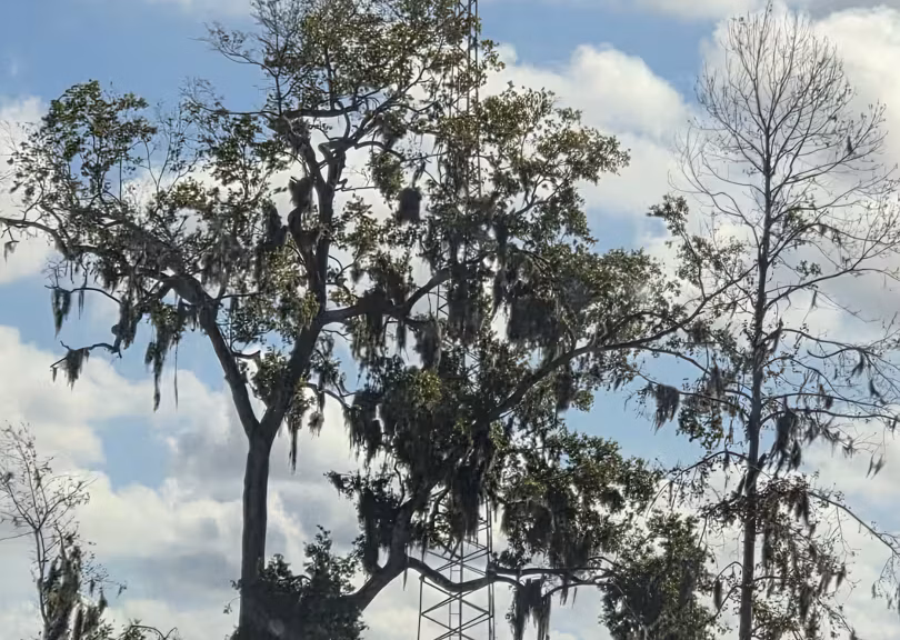 Verizon eNB 145769 and 445769 - The Villages