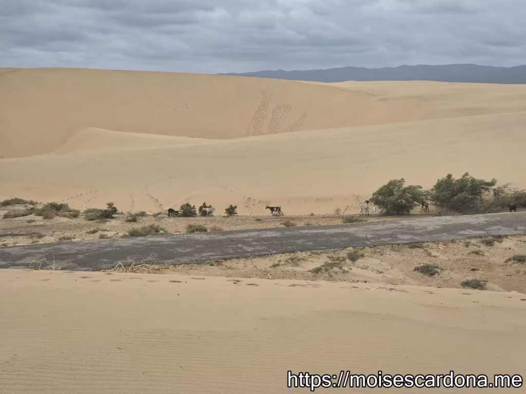 Parque Nacional Medanos de Coro 12