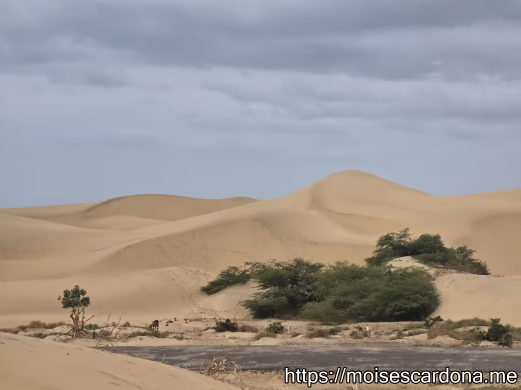 Parque Nacional Medanos de Coro 13