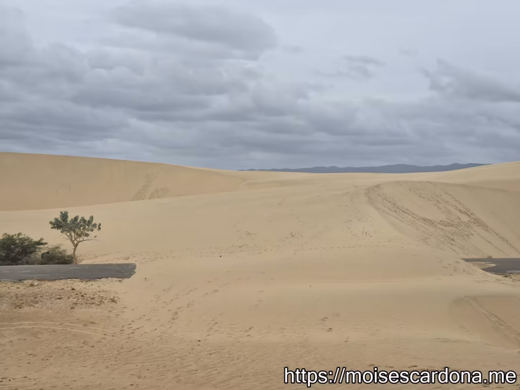 Parque Nacional Medanos de Coro 14