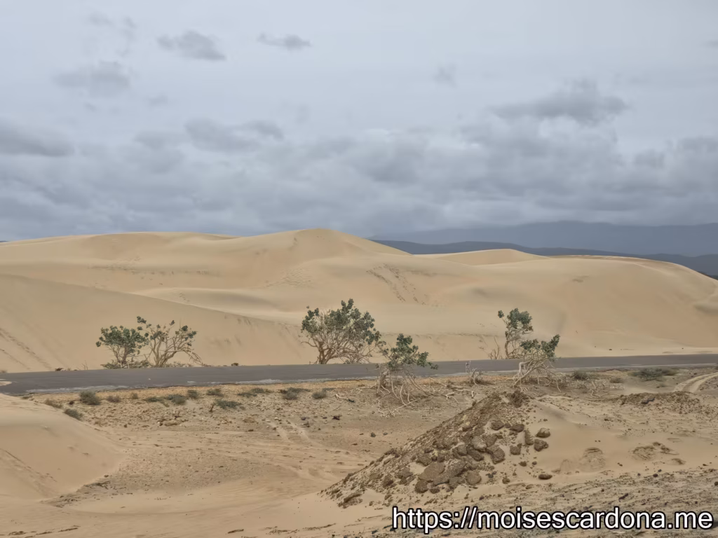 Parque Nacional Medanos de Coro 15