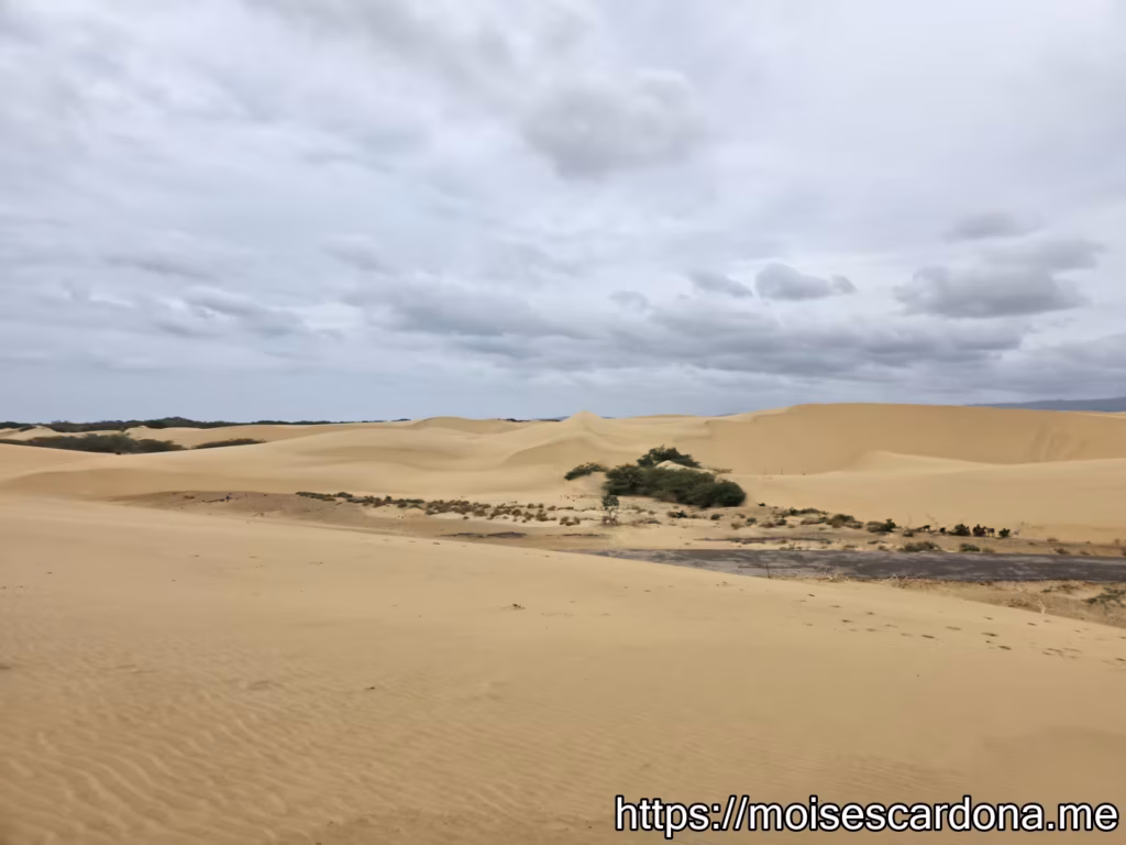 Parque Nacional Medanos de Coro 5